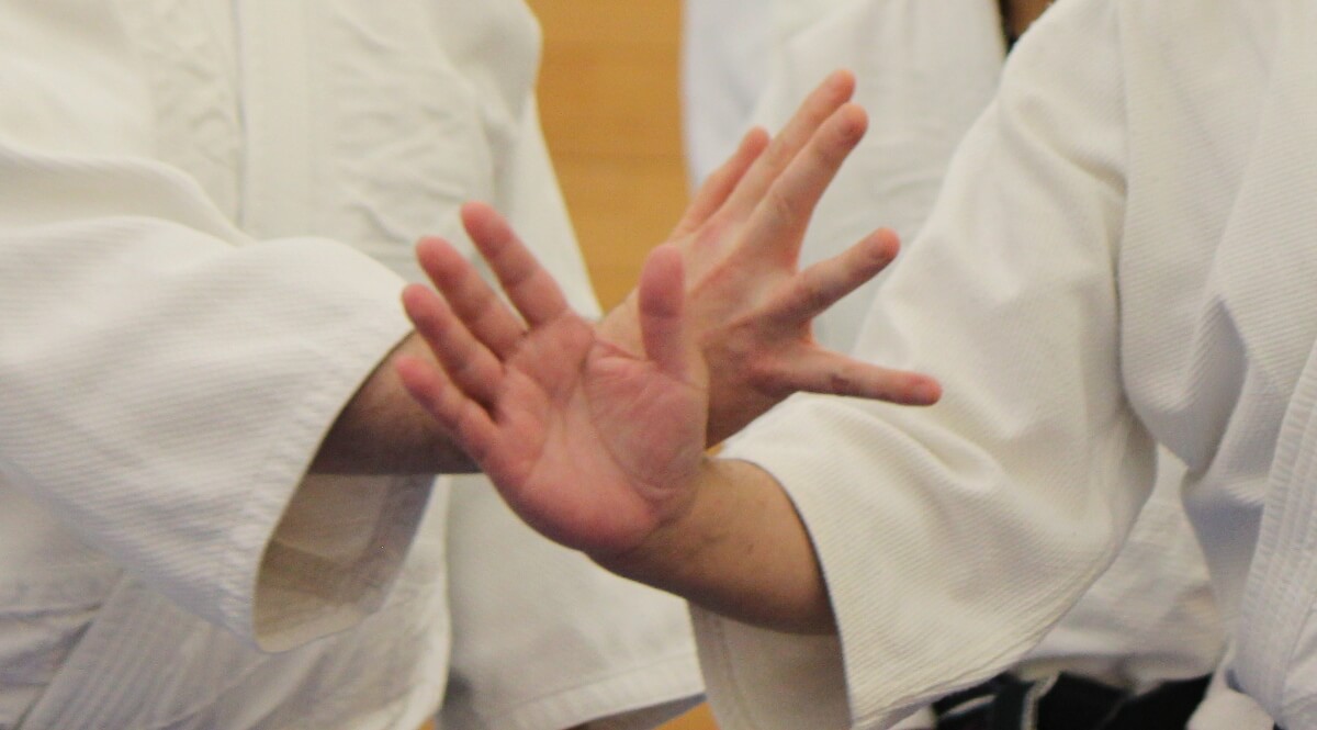 Aikido Lessons - Renshinkai Aikido Sussex, Haywards Heath